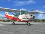 FSX Cessna 172 Tiburon/Shark Textures